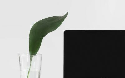 Soft skills – La gestion du stress
